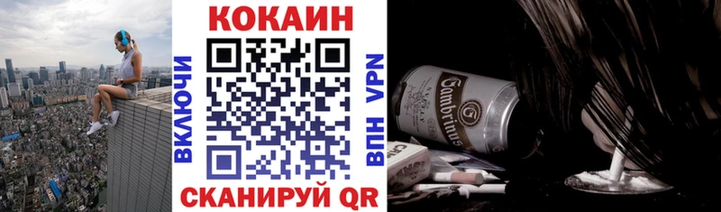 закладки  Змеиногорск  Cocaine Fish Scale 