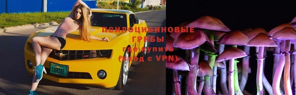 молекула духа Михайловск