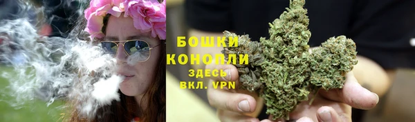 молекула духа Михайловск