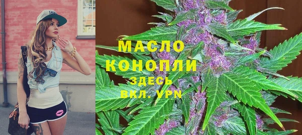 молекула духа Михайловск