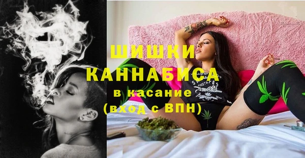 молекула духа Михайловск