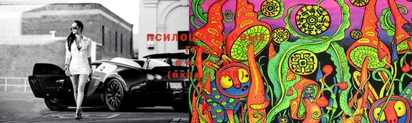 трава Михайловка