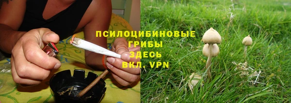 сатива Навашино