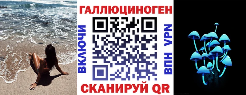 Галлюциногенные грибы Psilocybe  даркнет сайт  Змеиногорск 